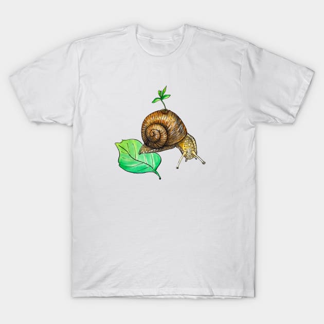 Snail Mail T-Shirt by sketchcadet